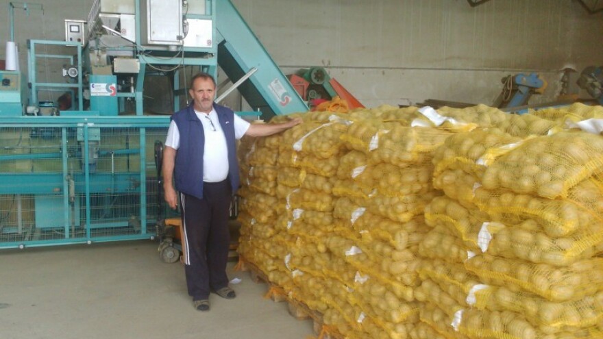 Kako osuvremeniti proizvodnju povrća i žitarica?