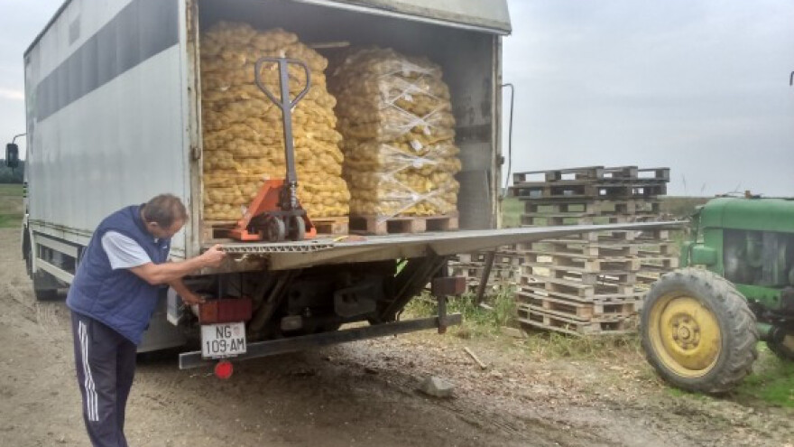 Uvozimo krumpir u špici sezone!