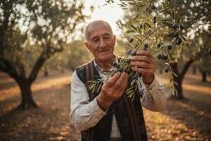 Smjernice maslinarstva u dolini Neretve