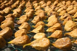 Na Visu se otkupljuje mediteransko voće i bilje