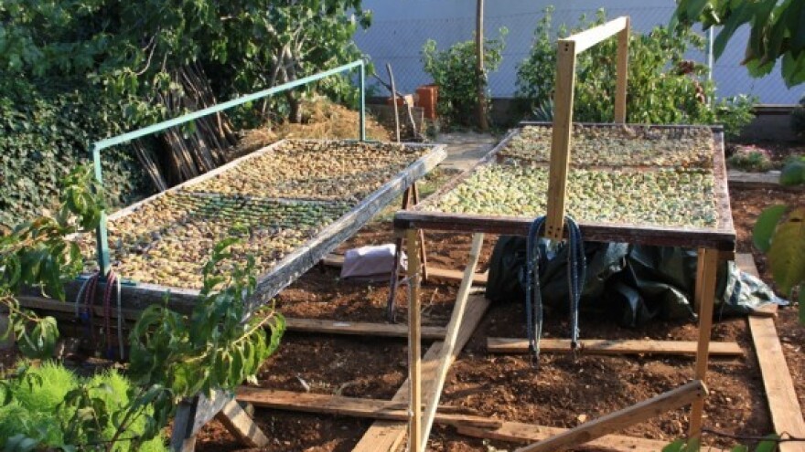 Ekološki uzgoj u skladu sa smokvinim načelima