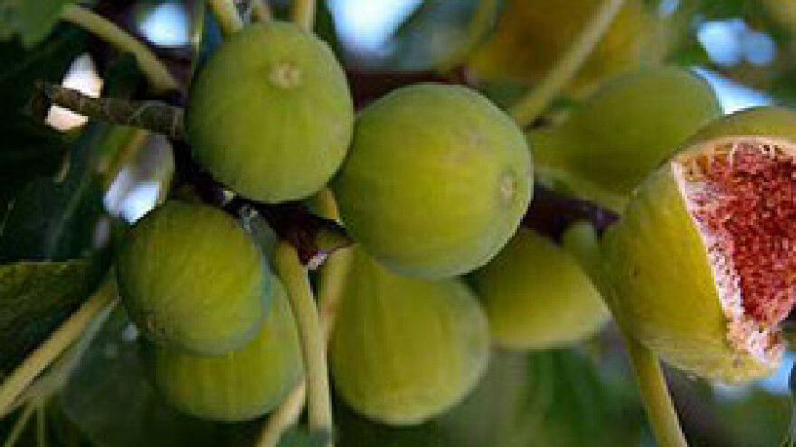 Autohtonim hrvatskim proizvodima do uspjeha