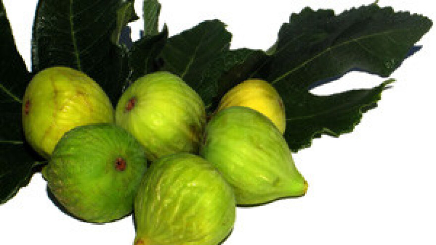 Gotovo 14 milijuna kuna isplaćeno za četiri IPARD projekta