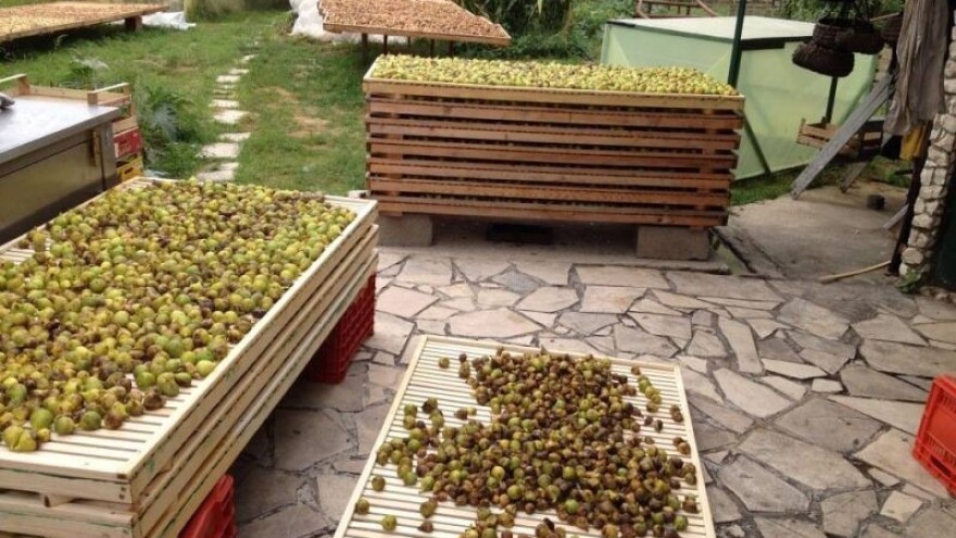 Radionica proizvodnje smokvenjaka