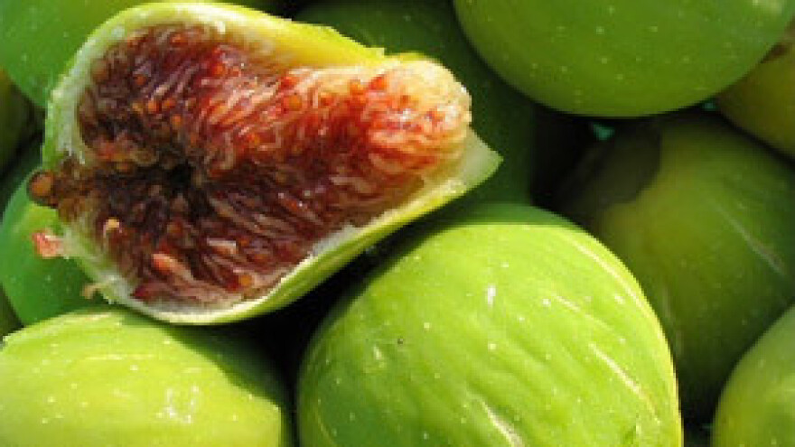 Natječaj za "Hrvatski otočni proizvod"