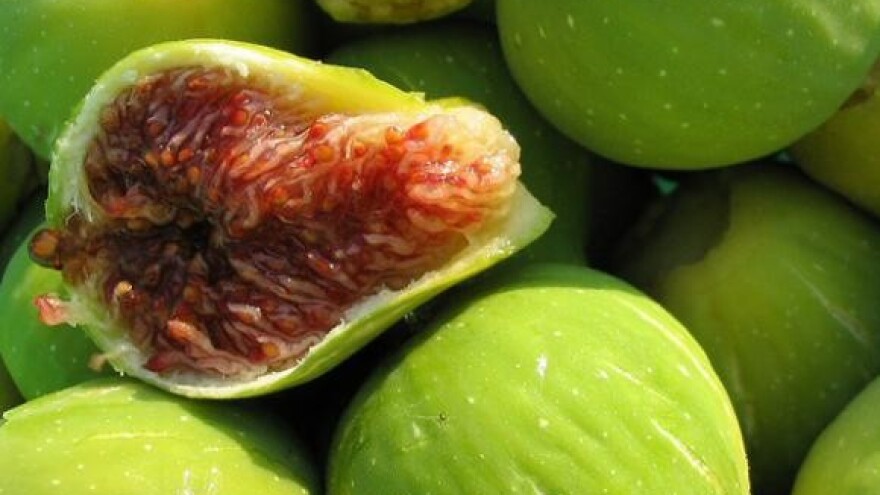 Državni tajnik Tonči Božanić na V. Plodovima Dalmacije