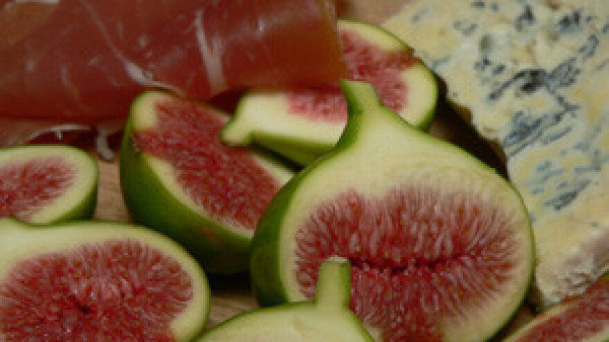 Dubrovačko-neretvanska turistička zajednica potiče seoski turizam