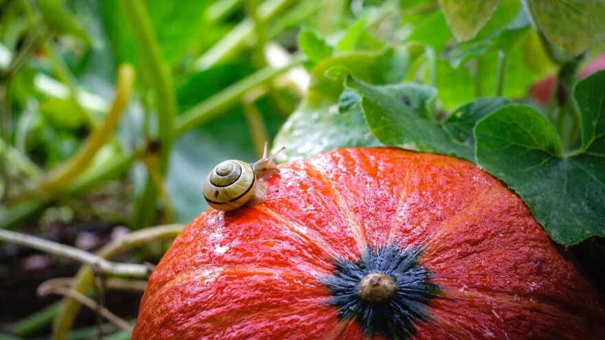 Stiže pogoršanje: Izgledne veće količine padavina