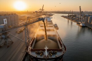 Snažan rast izvoza ruskog ječma