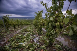 Snažno nevrijeme zahvatilo Slavoniju