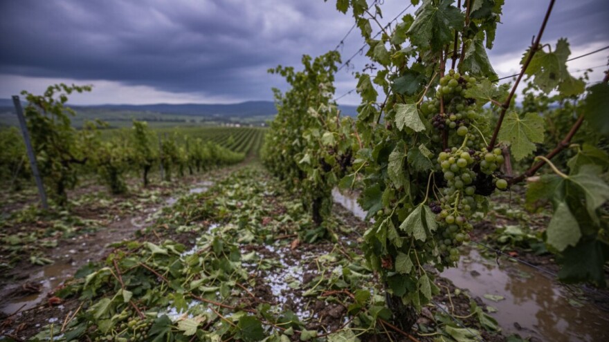 Snažno nevrijeme zahvatilo Slavoniju