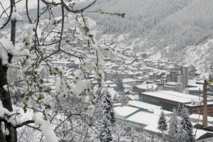 Aprilski sneg zavio u crno malinare