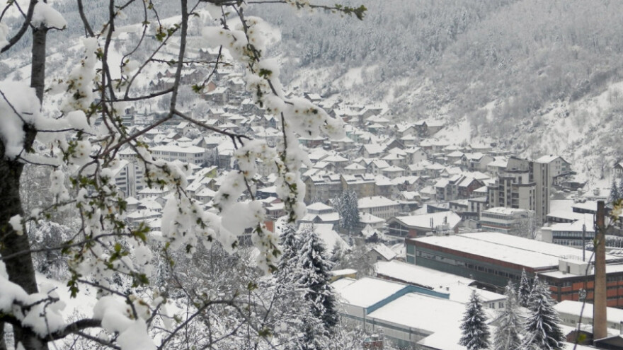 Aprilski sneg zavio u crno malinare