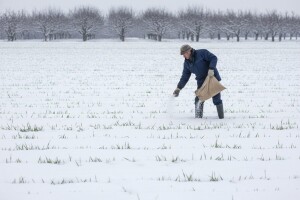 Sneg - prihrana i navodnjavanje