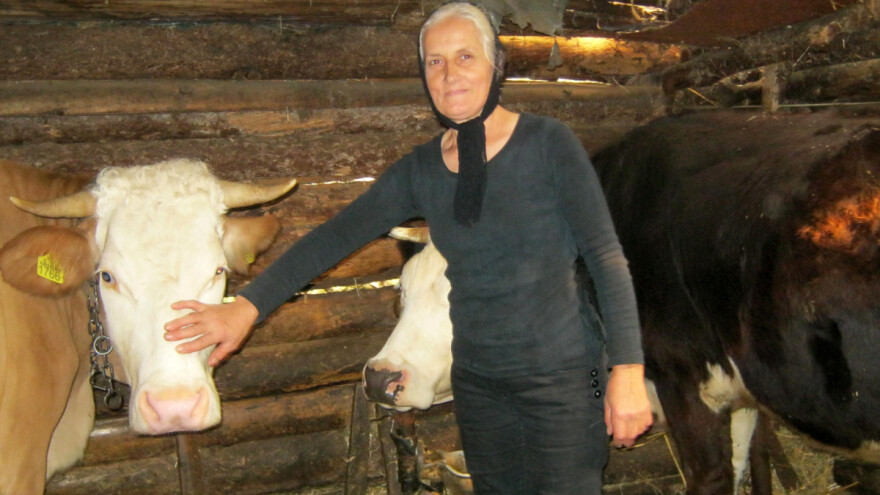 Subvencije za stoku Janjići čekaju dve godine