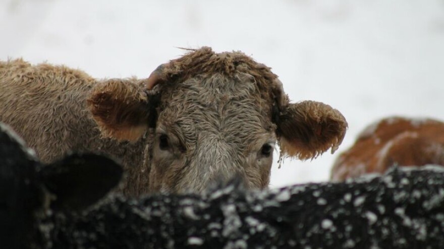 Čeka nas snijeg i temperature ispod -10°C!