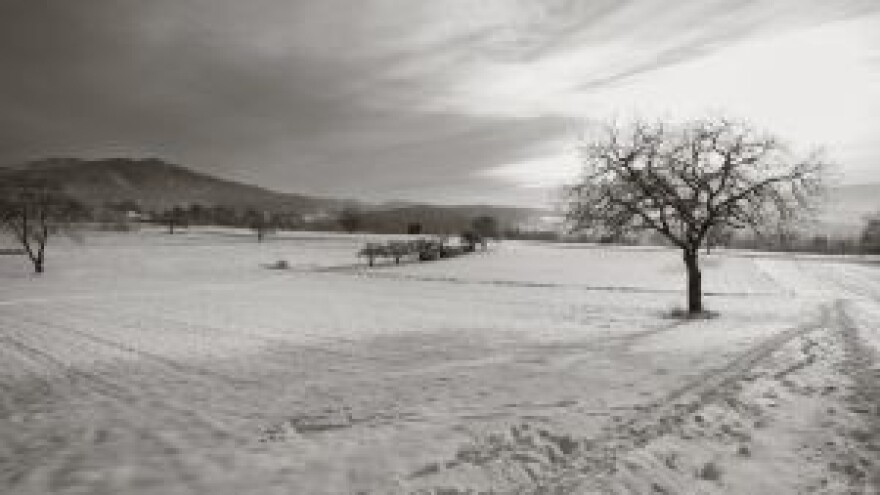 Snijeg je zaštita usjevima