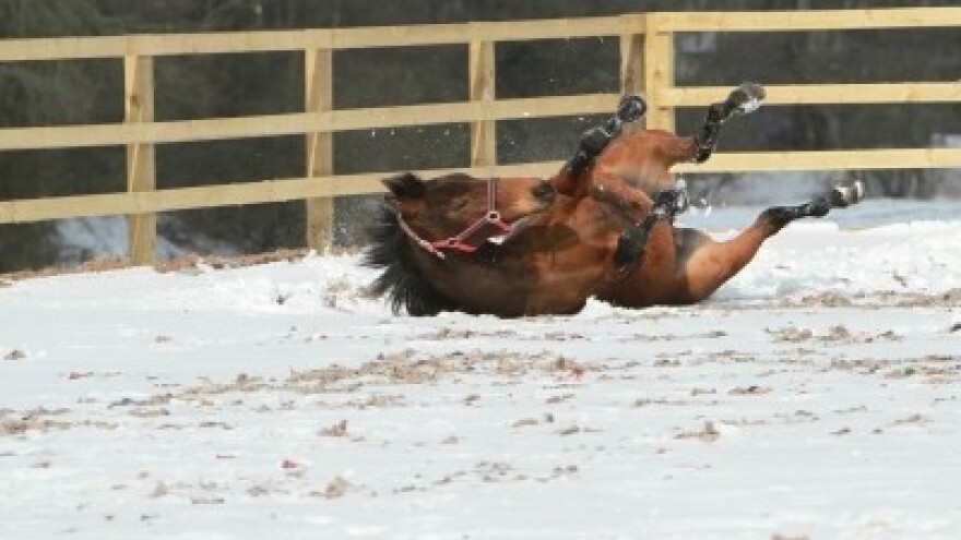 Izgledi za Hrvatsku za 27.12.2014-29.12.2014