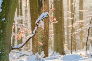 Izgledi za Hrvatsku za 23.01.2015-25.01.2015