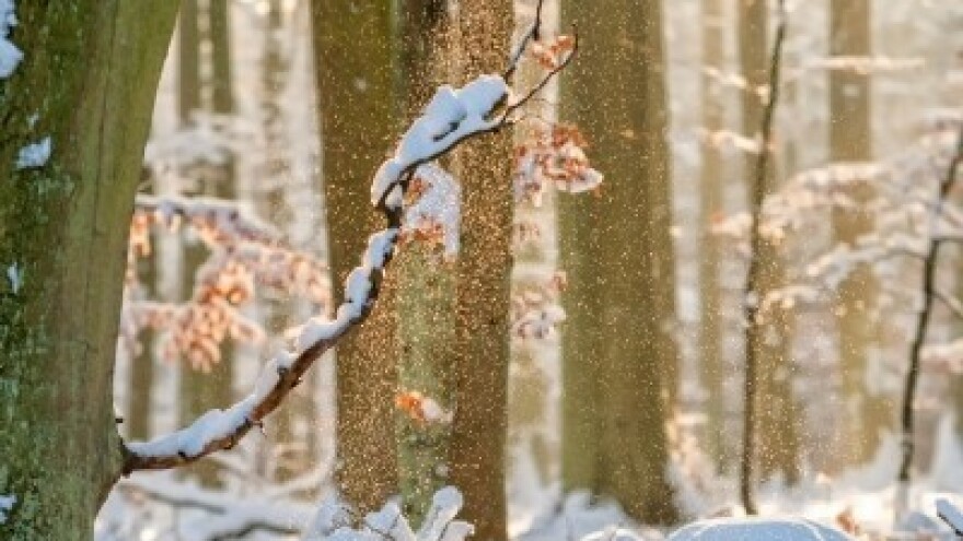 Izgledi za Hrvatsku za 23.01.2015-25.01.2015