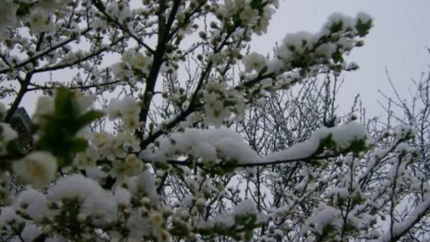 Prijavite općinama štete na poljoprivrednim kulturama