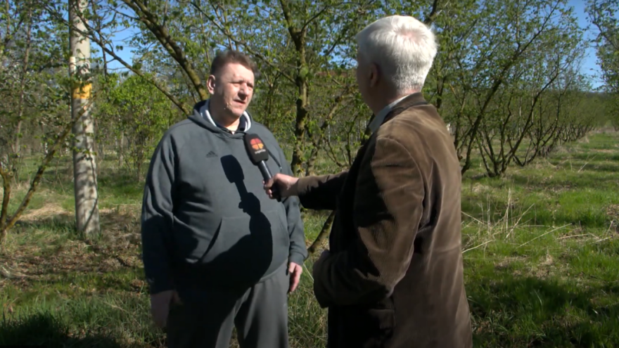 Žarko Orlić Domanovac među prvima je prije 19 godina krenuo u ozbiljan uzgoj lijeske