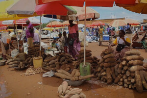 Putovanje kroz agroekologiju u Zapadnoj Africi