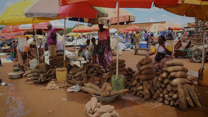 Putovanje kroz agroekologiju u Zapadnoj Africi
