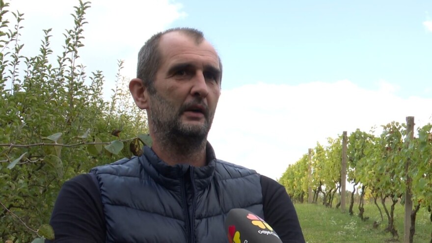Željko Goluža: Unatoč svim vremenskim poteškoćama, šljiva je bila vrhunske kvalitete