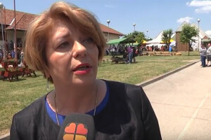 Erdut osim po vinogorju poznat po trešnjama!