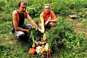 Na idiličnom domaćinstvu obitelji Klanfar gosti osjete sve čari života na selu