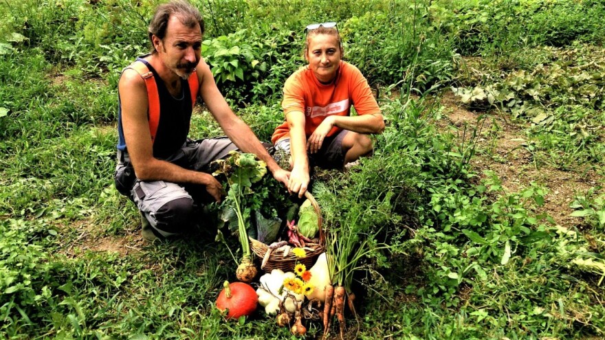 Na idiličnom domaćinstvu obitelji Klanfar gosti osjete sve čari života na selu