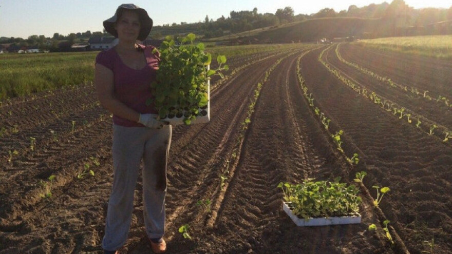 Kovač: Žao mi je kada vidim zapuštenu zemlju!