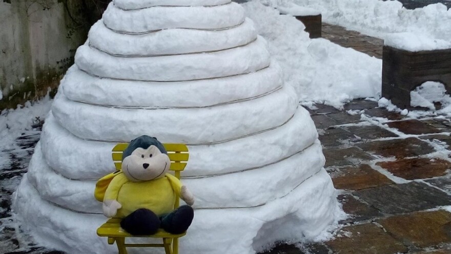 Od snijega napravili ogromnu košnicu