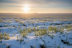 Snježni pokrivač - spas u zadnji čas!
