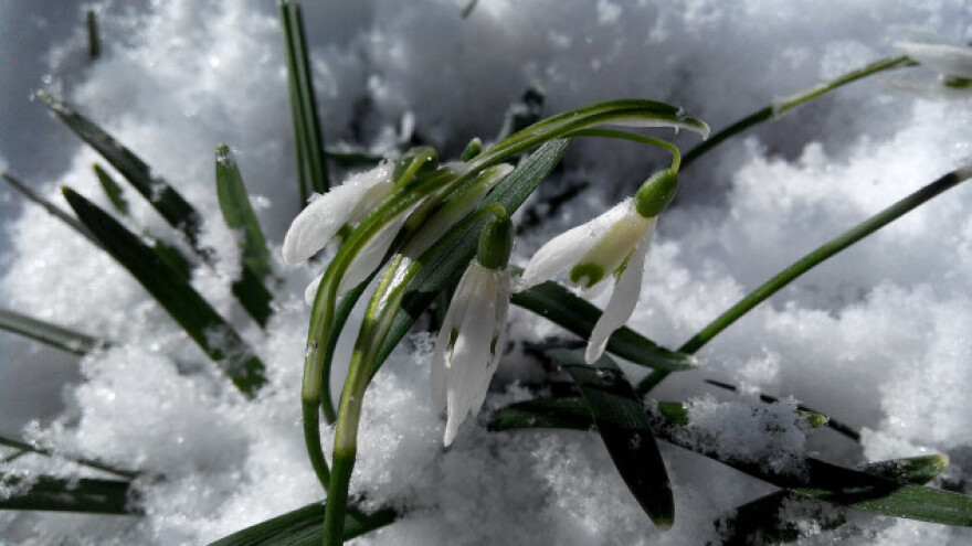 Legenda o snježnoj Gospi: snijeg usred ljeta?