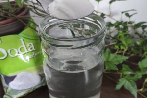 Soda bikarbona: Napravite sredstvo za zaštitu od bolesti i štetočina