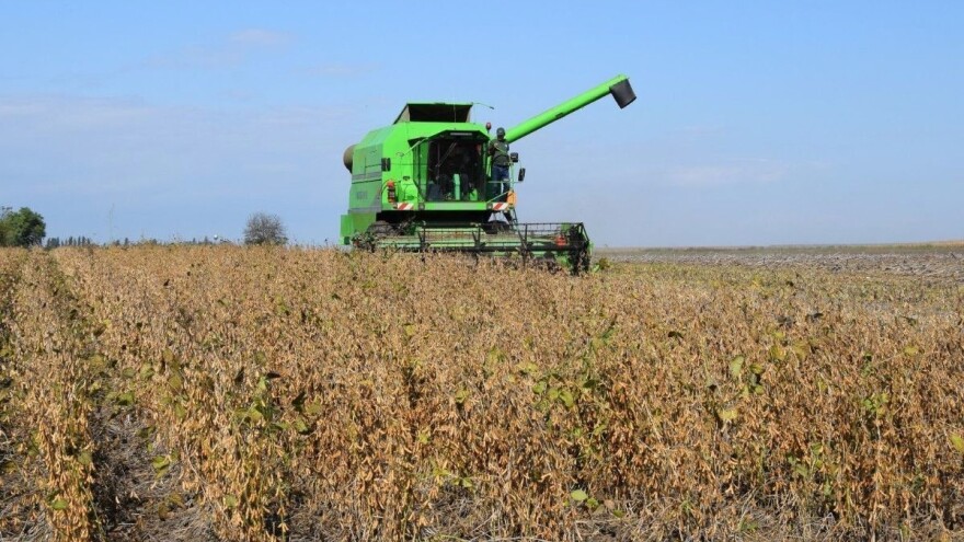 Vučković: Potrebno osigurati kvalitetnu proizvodnju soje koja nije genetski modificirana