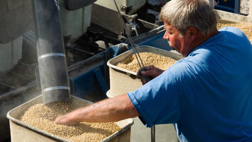 Farmeri u RS će smjeti proizvoditi GMO soju?