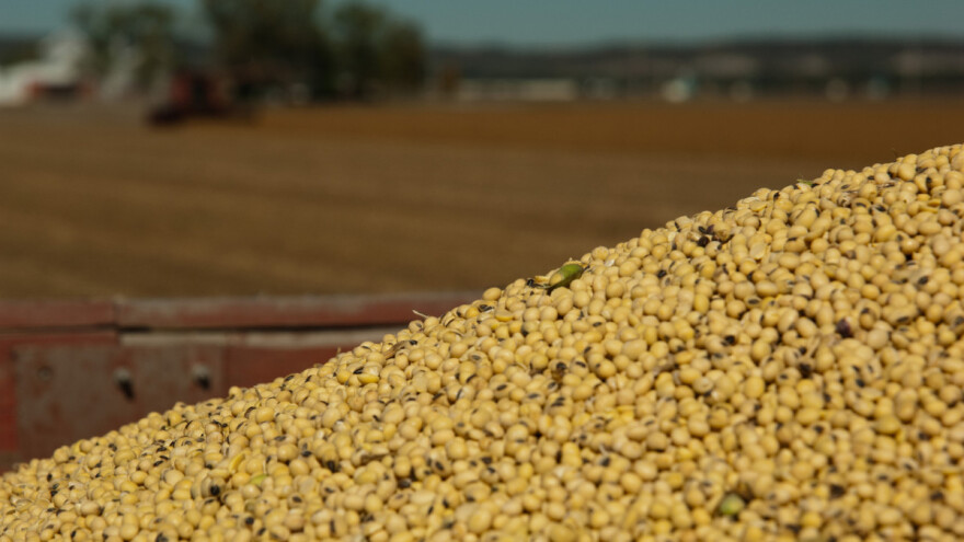 Povlače Nacrt zakona o GMO soji - za sada