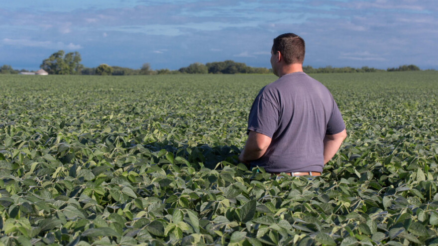 Dodjeljuju non-GMO sjeme soje za parcele do maksimalno 10 ha