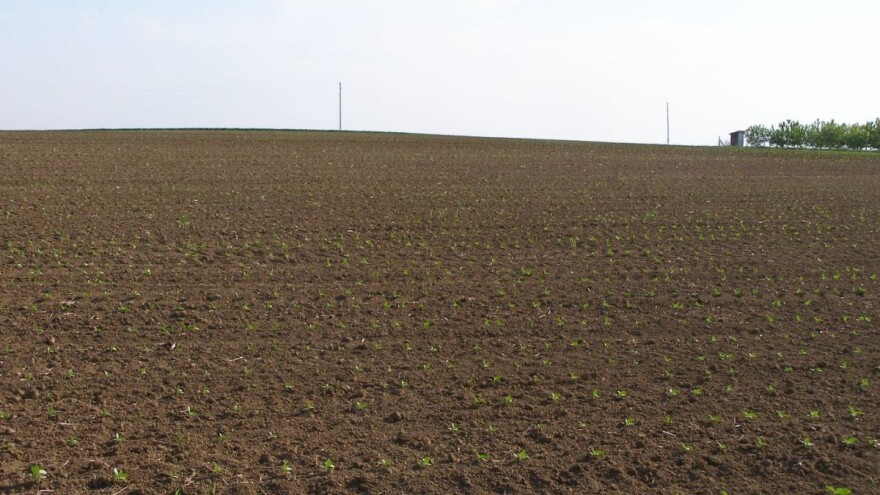 Pisali premijeru: Registrirajmo nove/dodatne površine za izravna plaćanja