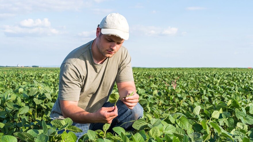 Uz vrhunsku zaštitu do vrhunskih prinosa u soji
