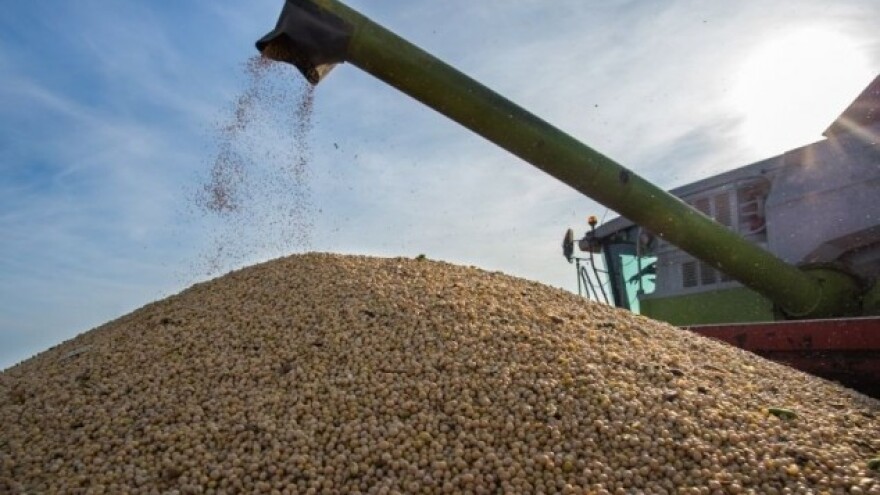 Novi izvozni putevi za soju!