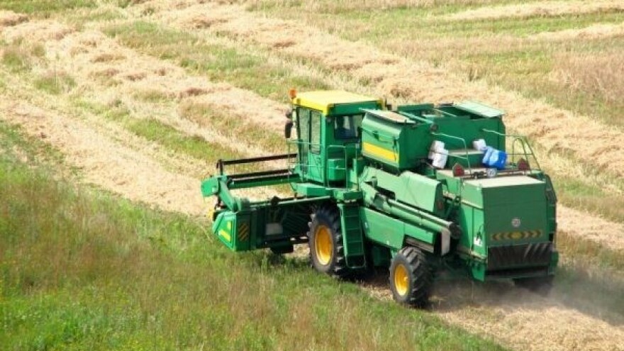 Raste udeo soje i ječma u stočnoj hrani