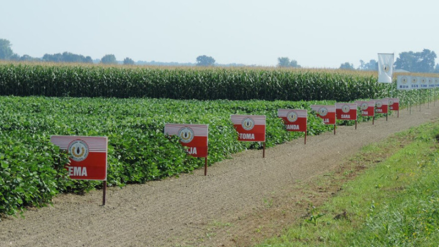OS sorte soje - prilagođene uzgojnim uvjetima!