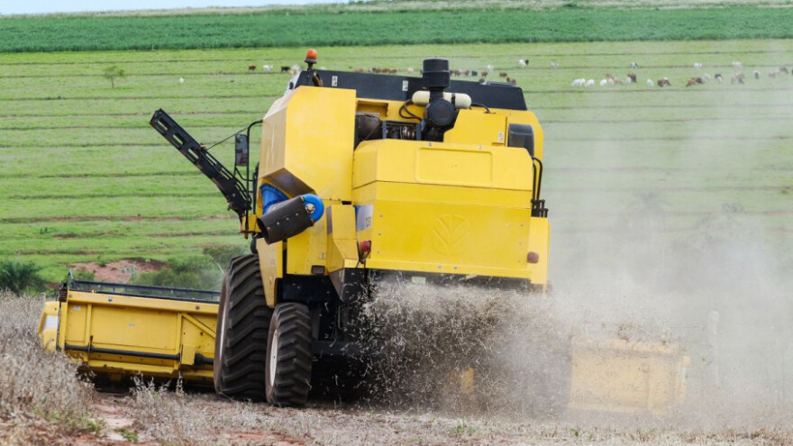 Soja od lani poskupjela gotovo 12%