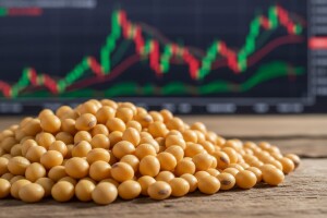 Soja najtraženija na berzi