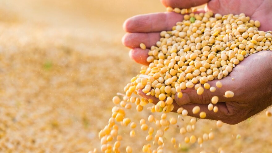 Probajte mleko, kafu i šniclu od soje