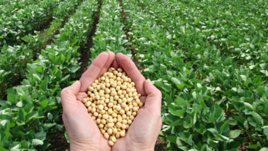 Ove godine očekuju se stabilni prinosi soje